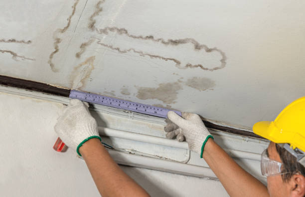 Reliable Mold Remediation contractor in Waldwick, NJ by Water Damage Irwin